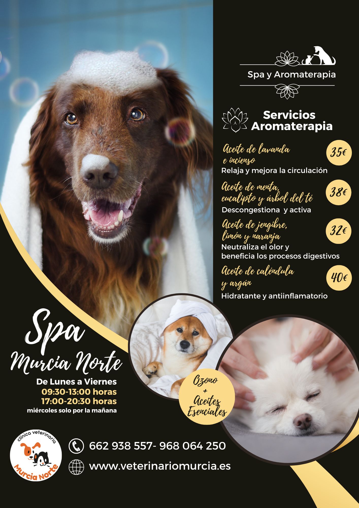 aromaterapia, SPA canino, tratamiento piel perro, dermatología veterinaria, peluquería canina